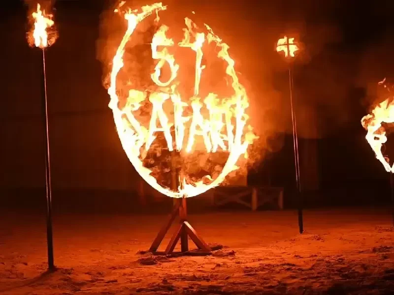 Safari di Mattina con Spettacolo di Falconeria
